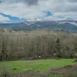 El Aguilojo *